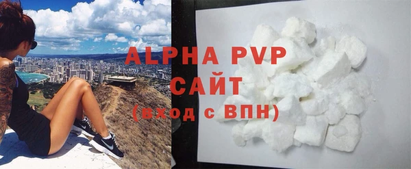 индика Ростов