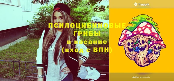 ПСИЛОЦИБИНОВЫЕ ГРИБЫ Россошь