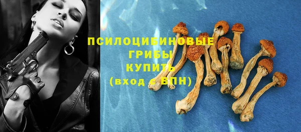 прущая мука Рославль