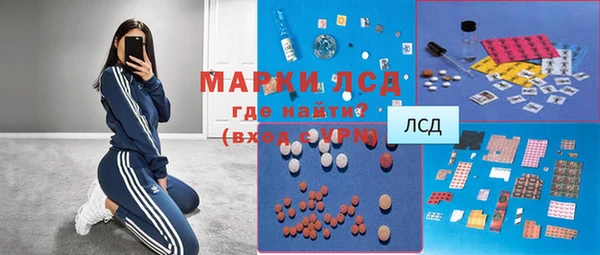индика Ростов
