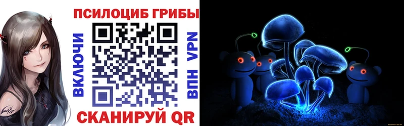 Псилоцибиновые грибы Psilocybe Касли